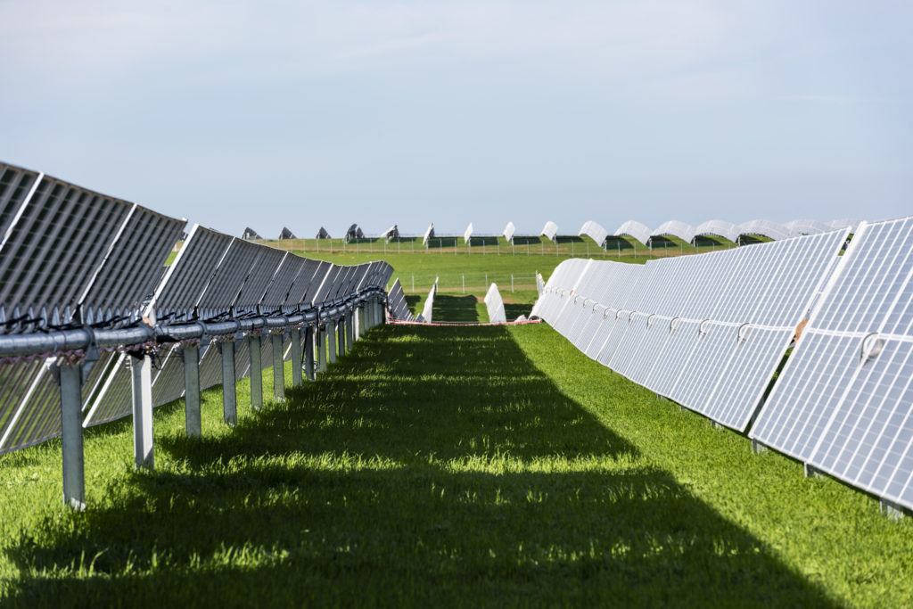 PV modules in rows at a large solar and energy storage installation.
